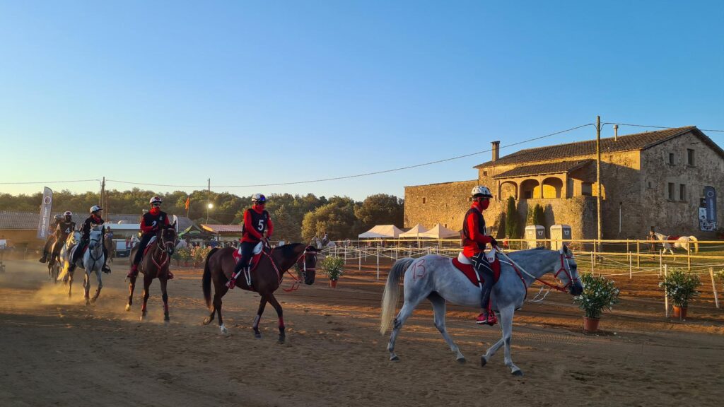 Bahrein Royal Horse Endurance Team